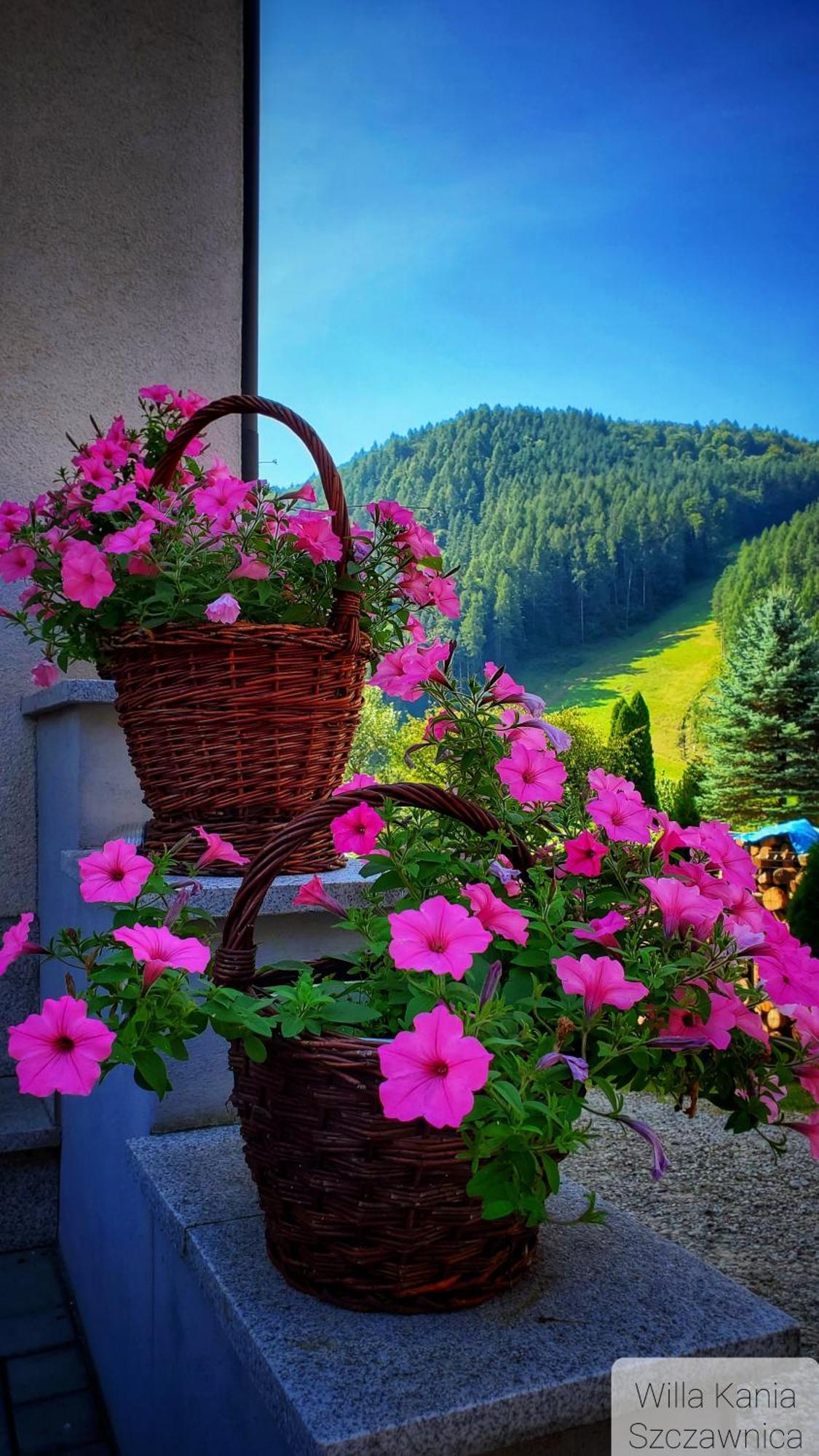 Willa Kania Szczawnica Exteriér fotografie